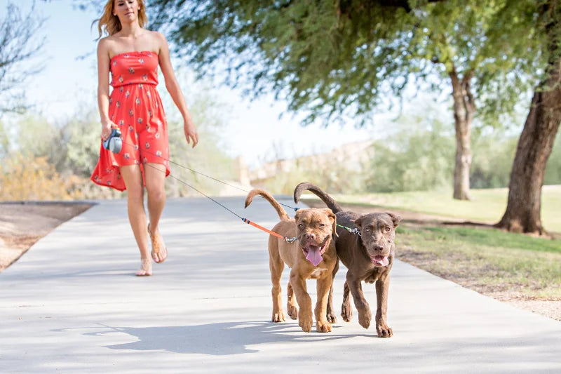 Retractable Dual Doggie Leash with LED Light, No Tangle 360 Swivel
