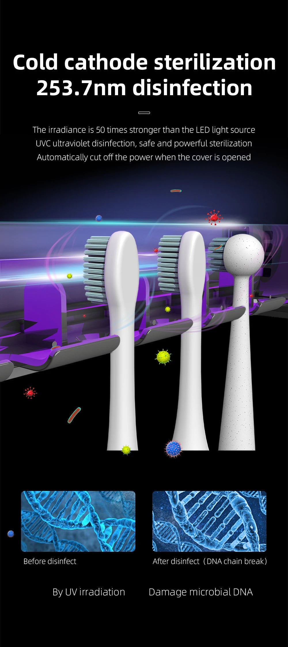 UV Toothbrush Holder with Rechargeable Fast Drying & Sterilization