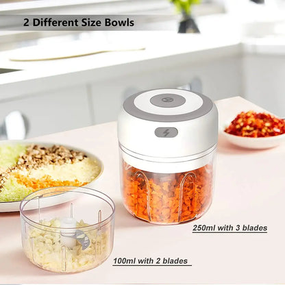 Mini Electric Garlic Chopper USB Charging 100,250,300ML