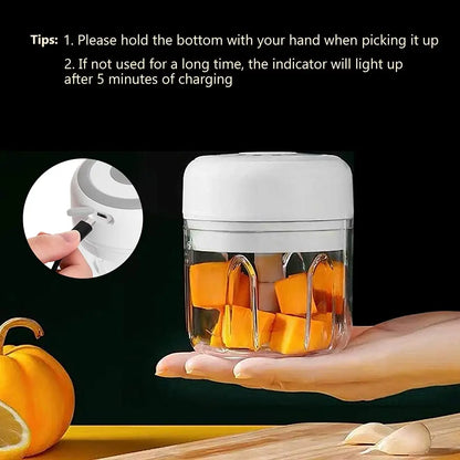 Mini Electric Garlic Chopper USB Charging 100,250,300ML